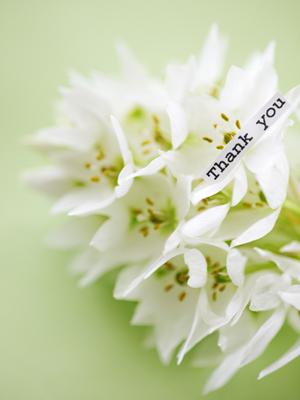 美味しいお米が買える通販サイト